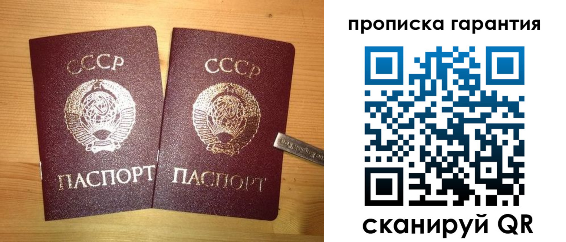 прописка поиск в Калуге